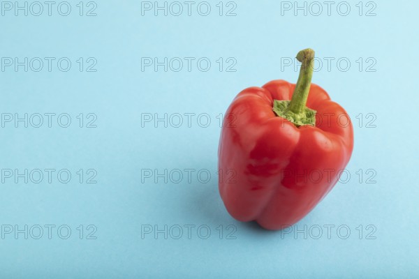 Red pepper on blue pastel background. Side view, copy space. healthy food, vegetable, minimalism