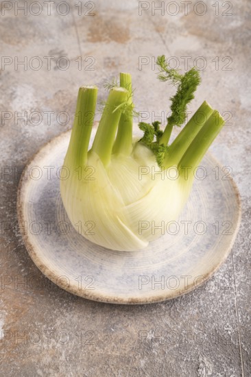 Fresh Fennel bulb on blue plate on brown concrete background, side view, copy space, minimalism