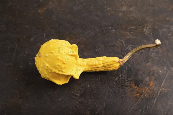 Decorative orange Pumpkin on black concrete background, side view, copy space, minimalism