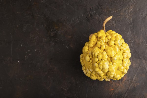 Decorative orange Pumpkin with tumors on black concrete background, top view, flat lay, copy space, minimalism