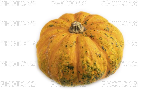 Orange Pumpkin isolated on white background. Side view, healthy food, vegetable, minimalism