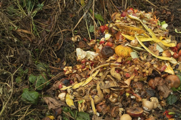 Compost pile made of organic food, leaves, vegetable and fruit Waste mix, Zero waste and Eco friendly Recycling concept
