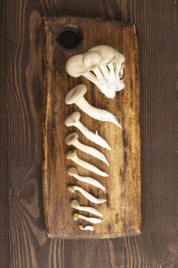 Raw Oyster mushroom, Pleurotus ostreatus on cutting board on brown wooden background. Top view, flat lay, copy space, minimalism