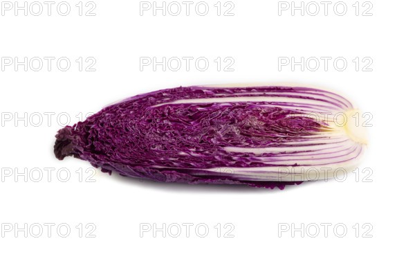 Purple Chinese cabbage isolated on white background, side view, close up, minimalism