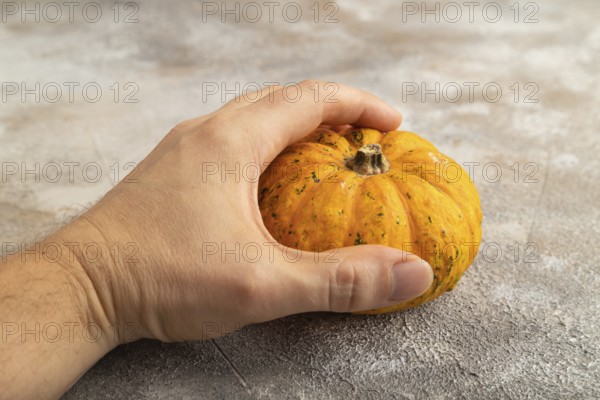 Orange Pumpkin with hand on gray concrete background. Side view, healthy food, vegetable, minimalism