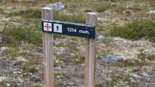 Signpost with altitude and Olav's Cross, highest point of the Pilgrims' Trail, Kongevegen or King's Road, Olav's Way or Olavsleden, ascent to Dovrefjell, Oppdal municipality, Trøndelag county, Norway