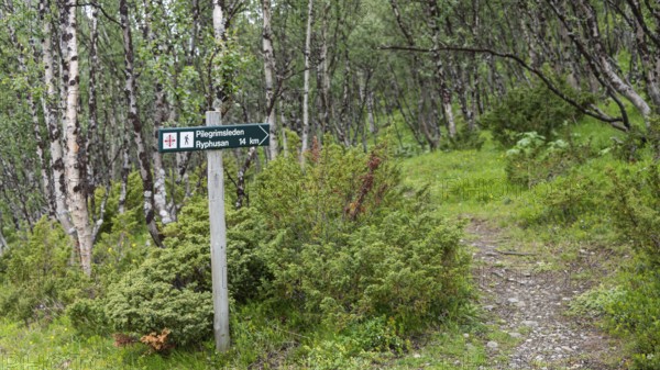 Signpost with the inscription Pilgrimsleden Ryphusan, Kongevegen or Kingsroad, Pilgrimsleden Olavsleden or Olavsleden, Drivdalen valley, ascent to Dovrefjell, Oppdal municipality, Trøndelag county, Norway