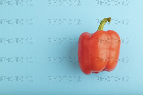 Red pepper on blue pastel background. Top view, flat lay, copy space. healthy food, vegetable, minimalism
