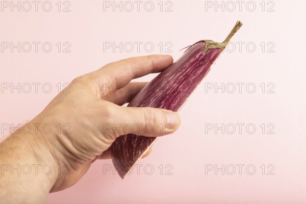 Hand holding sliced Purple eggplant with white stripes on pink pastel background. Side view, copy space. Tropical, healthy food, vegetable, minimalism