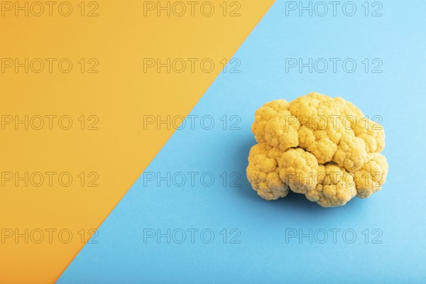 Yellow Cauliflower on blue and orange pastel paper background. Side view, copy space. healthy food, vegetable, minimalism