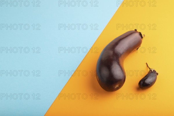 Two Eggplants big and small on blue and orange pastel paper background, side view, copy space, minimalism