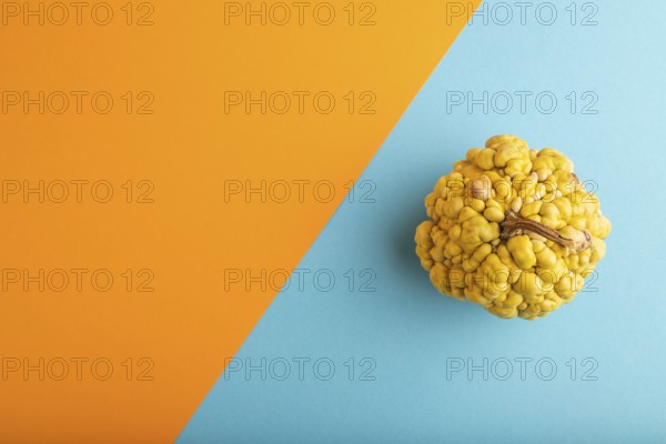 Decorative orange Pumpkin with tumors on blue and orange pastel paper background, top view, flat lay, copy space, minimalism