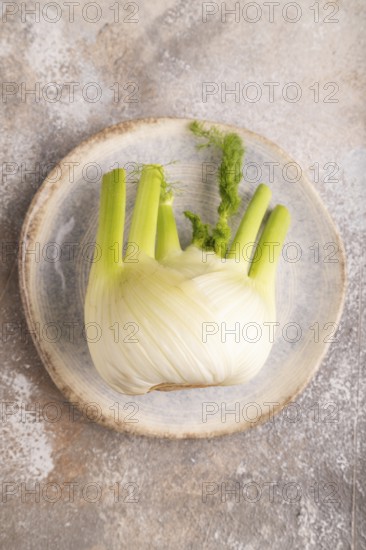 Fresh Fennel bulb on blue plate on brown concrete background, top view, flat lay, copy space, minimalism
