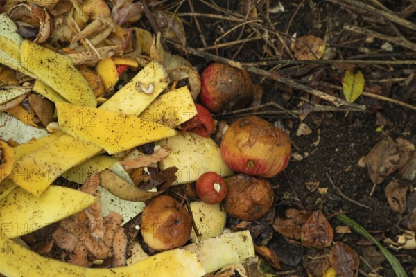 Compost pile made of organic food, leaves, vegetable and fruit Waste mix, Zero waste and Eco friendly Recycling concept