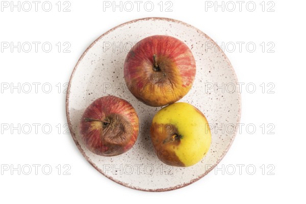 Decaying, Rotting apples on ceramic plate isolated on white background. Top view, copy space, flat lay, minimalism
