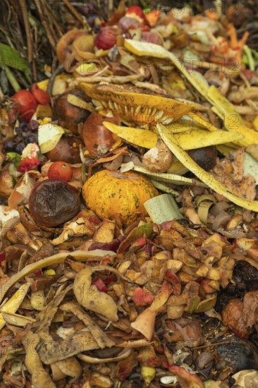 Compost pile made of organic food, leaves, vegetable and fruit Waste mix, Zero waste and Eco friendly Recycling concept