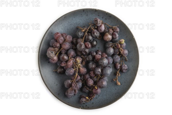 Bunches of rotten and Dry Red wine grapes on blue plate isolated on white background, harvest, decay. Top view, flat lay, close up