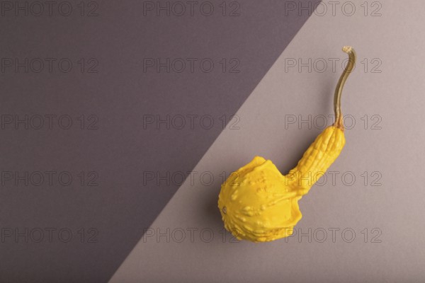 Decorative orange Pumpkin on beige and gray pastel paper background, top view, flat lay, copy space, minimalism