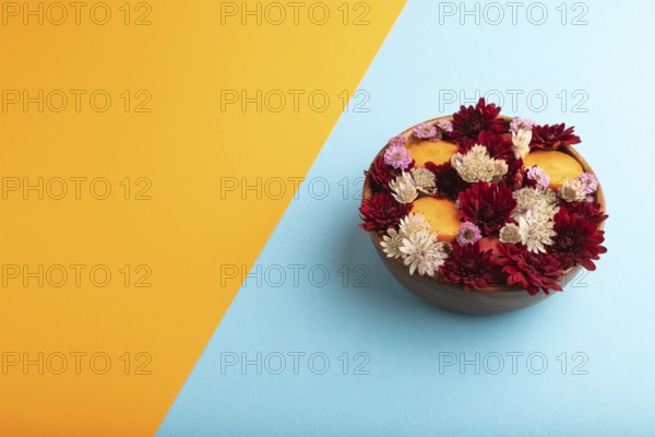 Wooden bowl with carrot slices and red Chrysanthemum flowers, Astrantia flowers, flower salad on blue and orange pastel paper background, side view, copy space, minimalism
