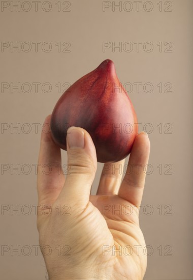 Red Heart shape tomatoes with hand on beige pastel paper background. Side view, copy space. healthy food, vegetable, minimalism. hold