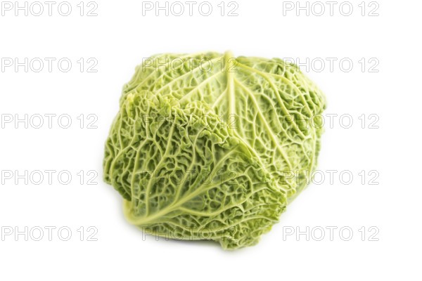 Green lettuce isolated on white background. Side view. healthy food, vegetable, minimalism