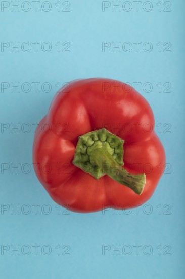 Red pepper on blue pastel background. Top view, flat lay, copy space. healthy food, vegetable, minimalism