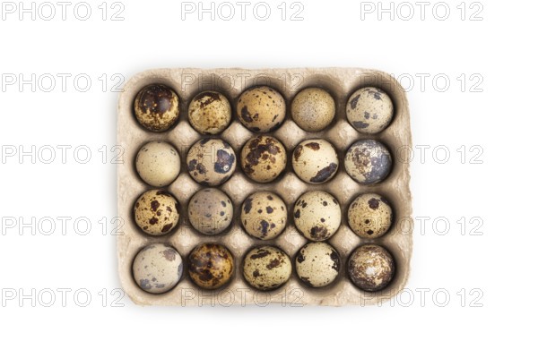 Pile of Raw Quail eggs isolated on white background. top view, flat lay, close up