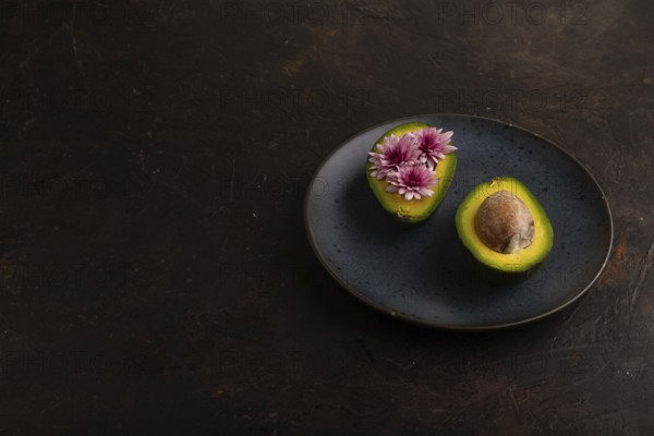 Two Avocado halves with pit and Chrysanthemums on blue plate on black concrete background, side view, copy space, minimalism, low key