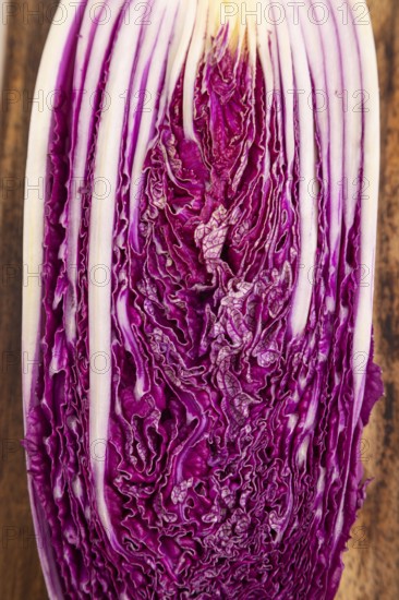 Purple Chinese cabbage background, top view, flat lay, close up, minimalism