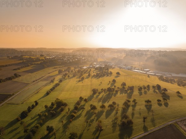 Sonnenuntergang über Feldern mit langen Baumschatten in warmem Licht, Gechingen, Heckengäu, Landkreis Calw, Deutschland
