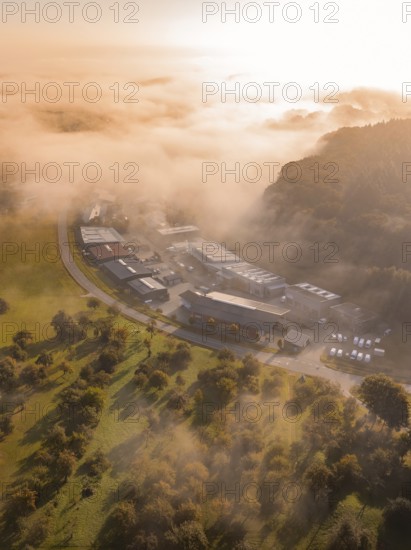 Nebel umhüllt Industriegebäude und Bäume in einer weichen Morgenlichtstimmung, Gechingen, Heckengäu, Landkreis Calw, Deutschland