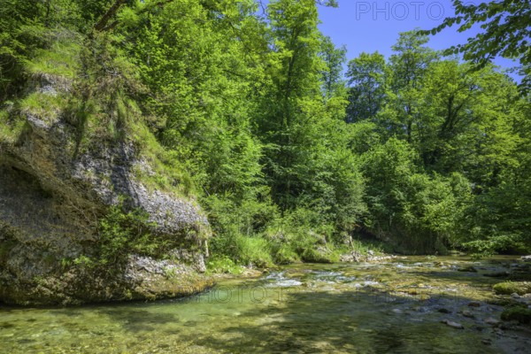 Wanderung entlang der Krummen Steyrling, Molln, Oberösterreich, Österreich