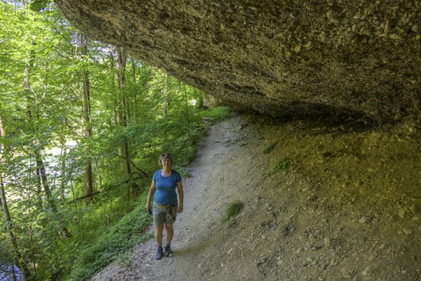 Konglomeratfelsen und Wanderweg im Naturschutzgebiet Steyr Fluss, Molln, Oberösterreich, Österreich