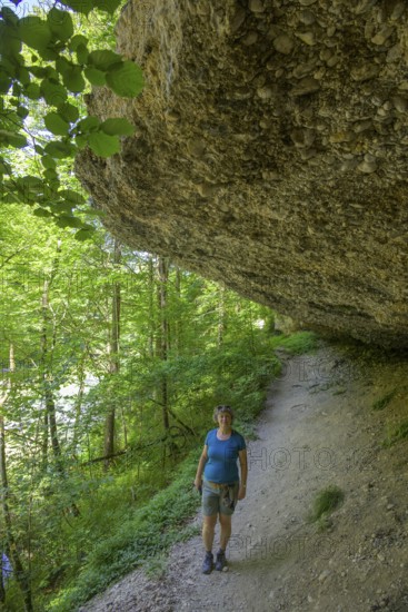 Konglomeratfelsen und Wanderweg im Naturschutzgebiet Steyr Fluss, Molln, Oberösterreich, Österreich