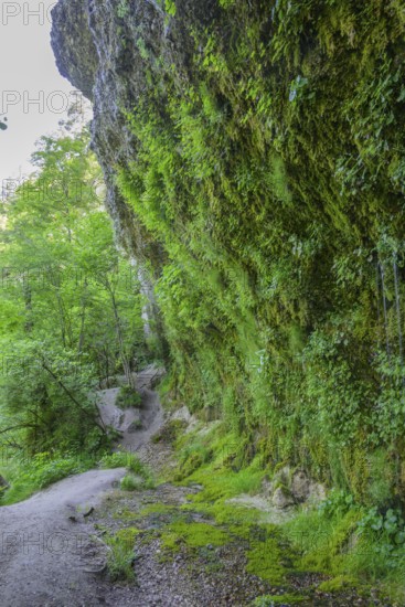 Rinnende Mauer am Steyr Fluss, Molln, Oberösterreich, Österreich