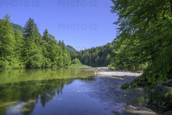 Steyr Fluss, Molln, Oberösterreich, Österreich