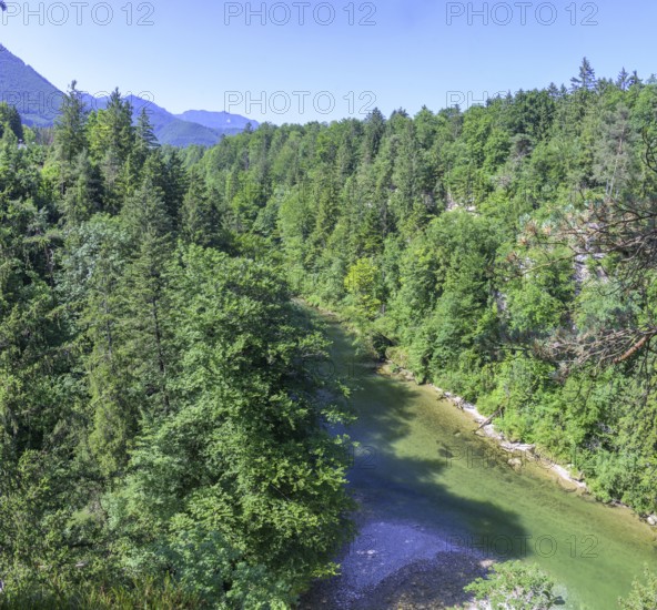 Schluchtenblick Steyr Fluss, Molln, Oberösterreich, Österreich