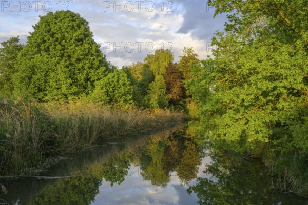 Sonnenuntergangsstimmung beim Grafenmühlbach, Infozentrum Isarmündung, Moos, Bayern, Deutschland