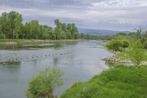 Blick vom Aussichtsturm auf die Isar, Plattling, Bayern, Deutschland