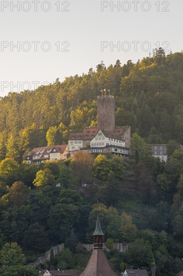 Eine Burg auf einem bewaldeten Hügel im Morgenlicht, umgeben von herbstlicher Natur, Bad Liebenzell, Schwarzwald, Deutschland