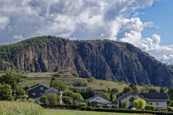 Der Rotenfels, eine Steilwand am Naheufer im Naturpark Soonwald-Nahe, im Weinbaugebiet der Pfalz. Norheim, Landkreis Bad Kreuznach, Rheinland-Pfalz, Deutschland