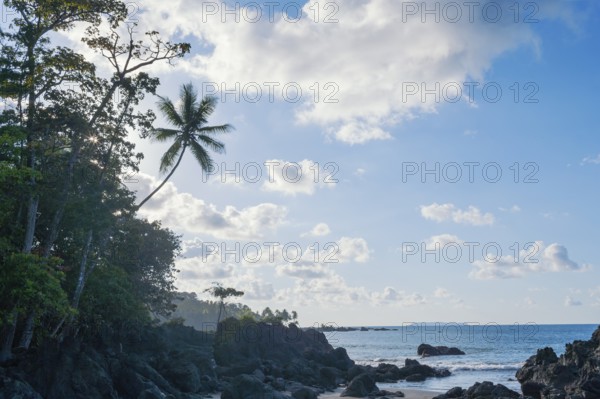 Beach, Drake Bay, Corcovado National Park, Osa Peninsula, Costa Rica