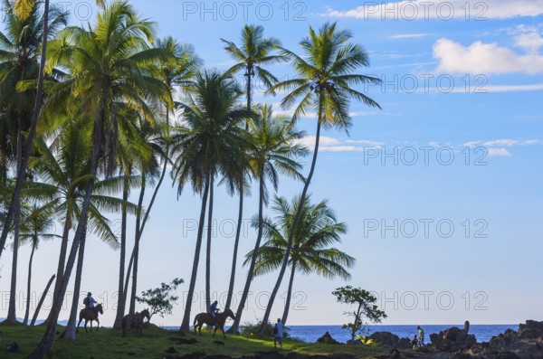 Horseback riding on beach, Drake Bay, Corcovado National Park, Osa Peninsula, Costa Rica