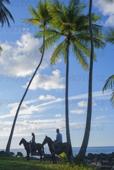 Horseback riding on beach, Drake Bay, Corcovado National Park, Osa Peninsula, Costa Rica