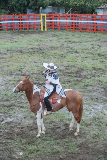 Rodeo, La Fortuna, Arenal, Costa Rica, Central America