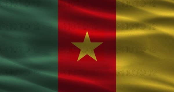 Cameroon flag with fabric texture. Realistic flag of Cameroon waving
