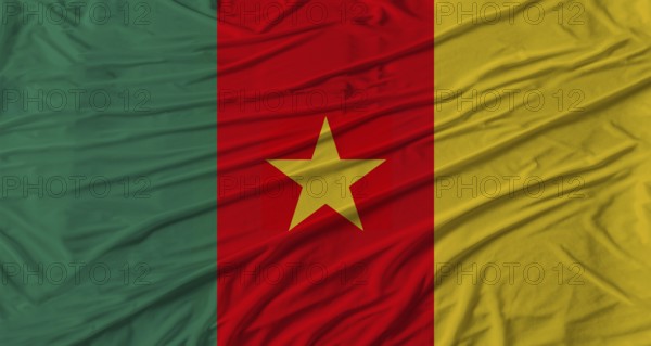 Cameroonian flag waving. Flag of Cameroon with cloth texture
