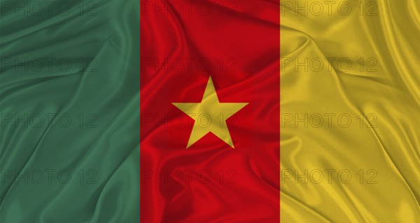 Flag of Cameroon with cloth texture. Close up of Cameroon flag waving