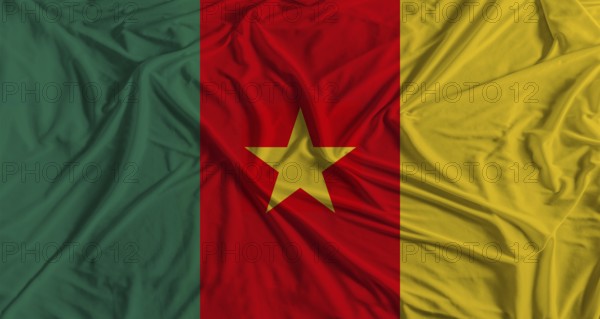 Cameroonian flag with fabric texture background. National flag of Cameroon
