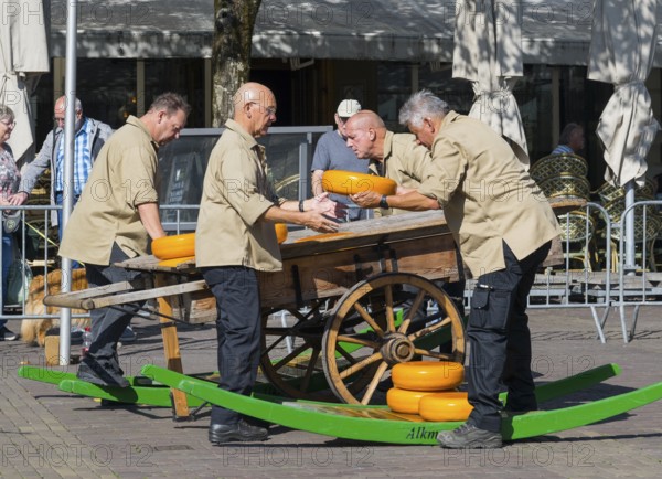 Männer in beiger Kleidung stapeln Käseräder auf einem traditionellen Holzwagen, Käse, Käsemarkt, Alkmaar, Alkmar, Noord-Holland, Nordholland, Niederlande